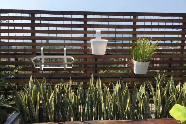 1704335243576818.png 1704335243576818.png