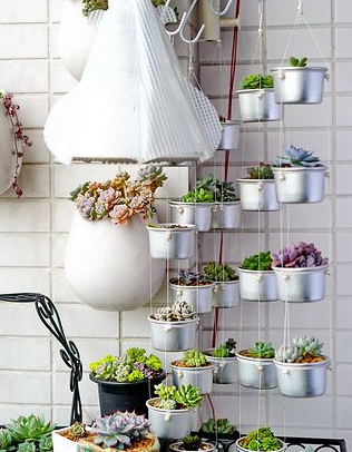 1704335566445740.png 1704335566445740.png